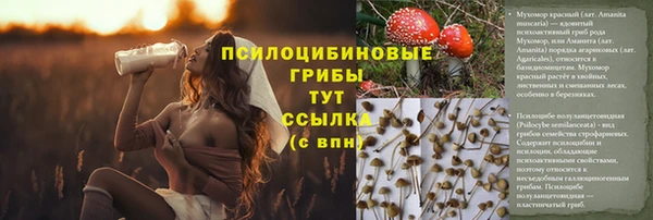 кокаин колумбия Краснослободск