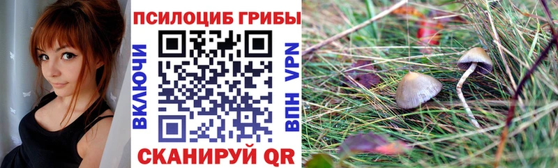 Псилоцибиновые грибы мухоморы Пласт